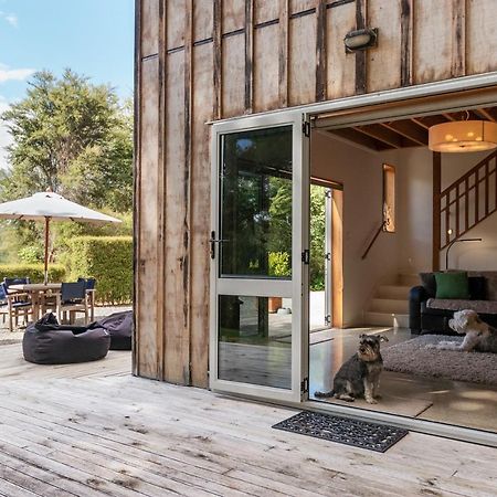Beech Hill - Pet Friendly Holiday Home Tasman エクステリア 写真
