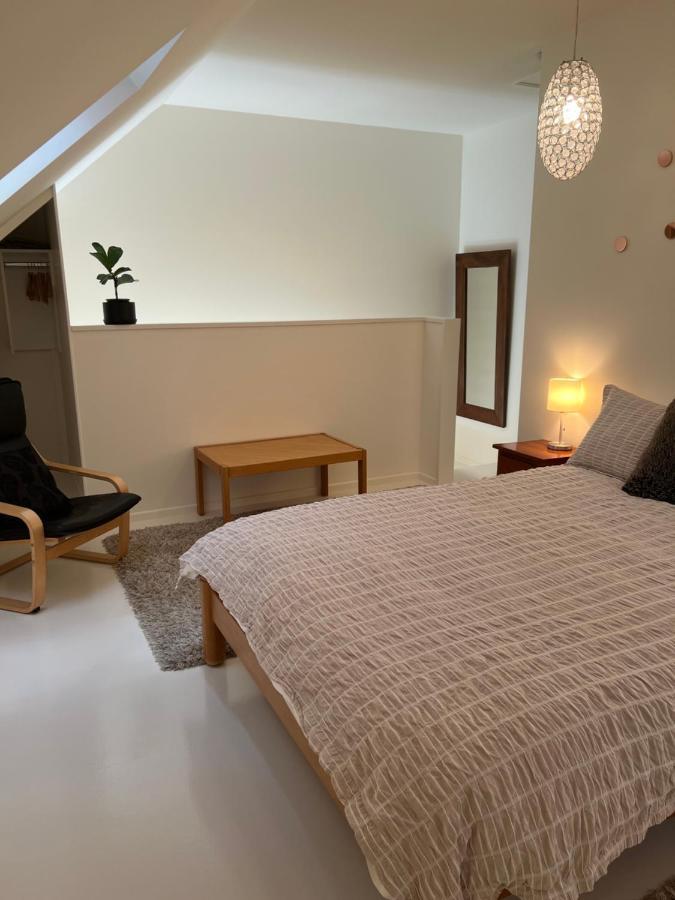 Beech Hill - Pet Friendly Holiday Home Tasman エクステリア 写真
