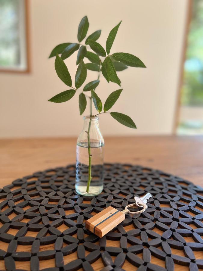 Beech Hill - Pet Friendly Holiday Home Tasman エクステリア 写真