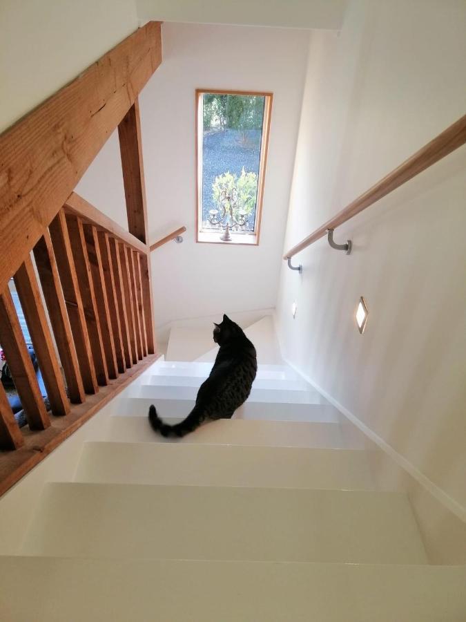 Beech Hill - Pet Friendly Holiday Home Tasman エクステリア 写真