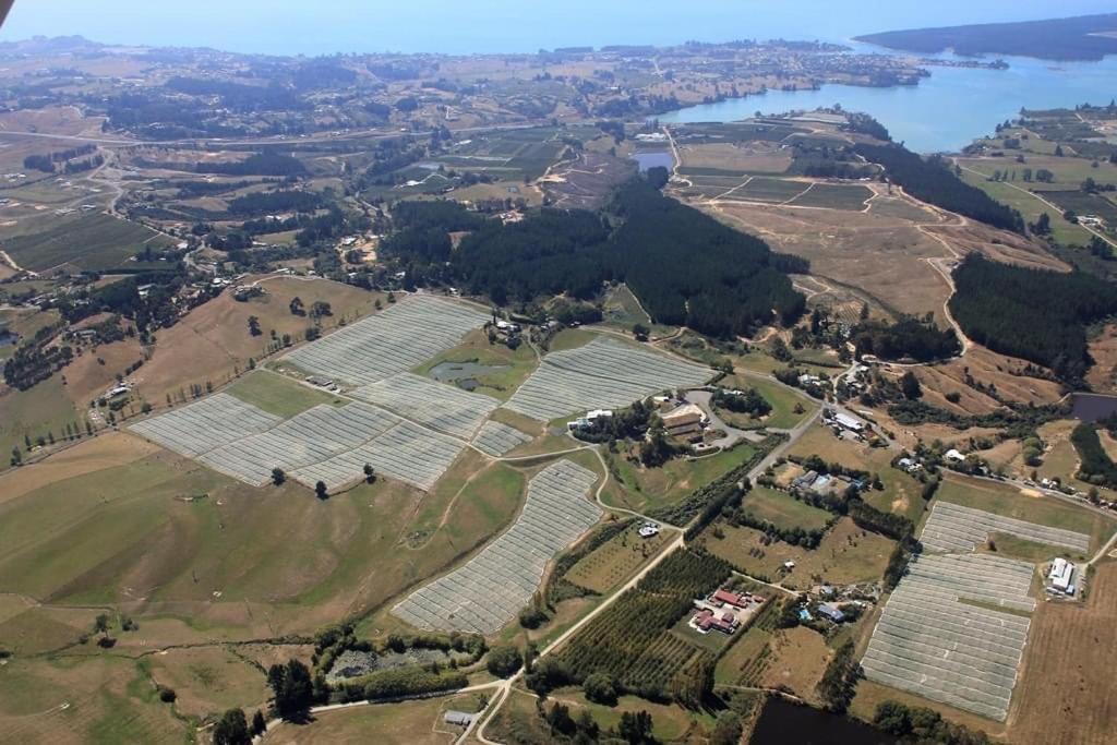 Beech Hill - Pet Friendly Holiday Home Tasman エクステリア 写真
