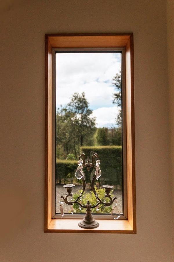 Beech Hill - Pet Friendly Holiday Home Tasman エクステリア 写真