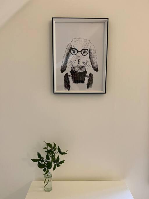 Beech Hill - Pet Friendly Holiday Home Tasman エクステリア 写真