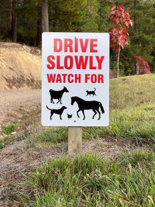Beech Hill - Pet Friendly Holiday Home Tasman エクステリア 写真