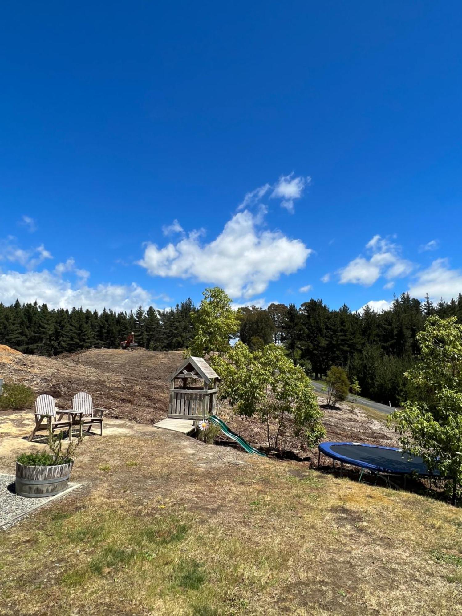 Beech Hill - Pet Friendly Holiday Home Tasman エクステリア 写真
